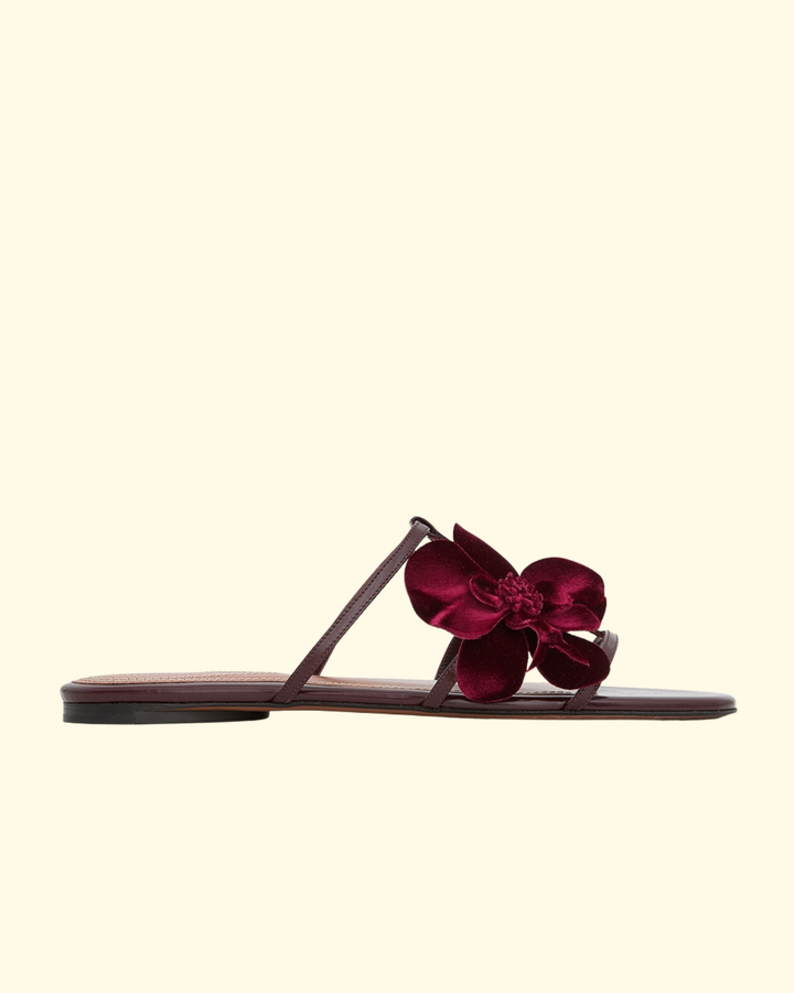 Orchid Slide | Ruby