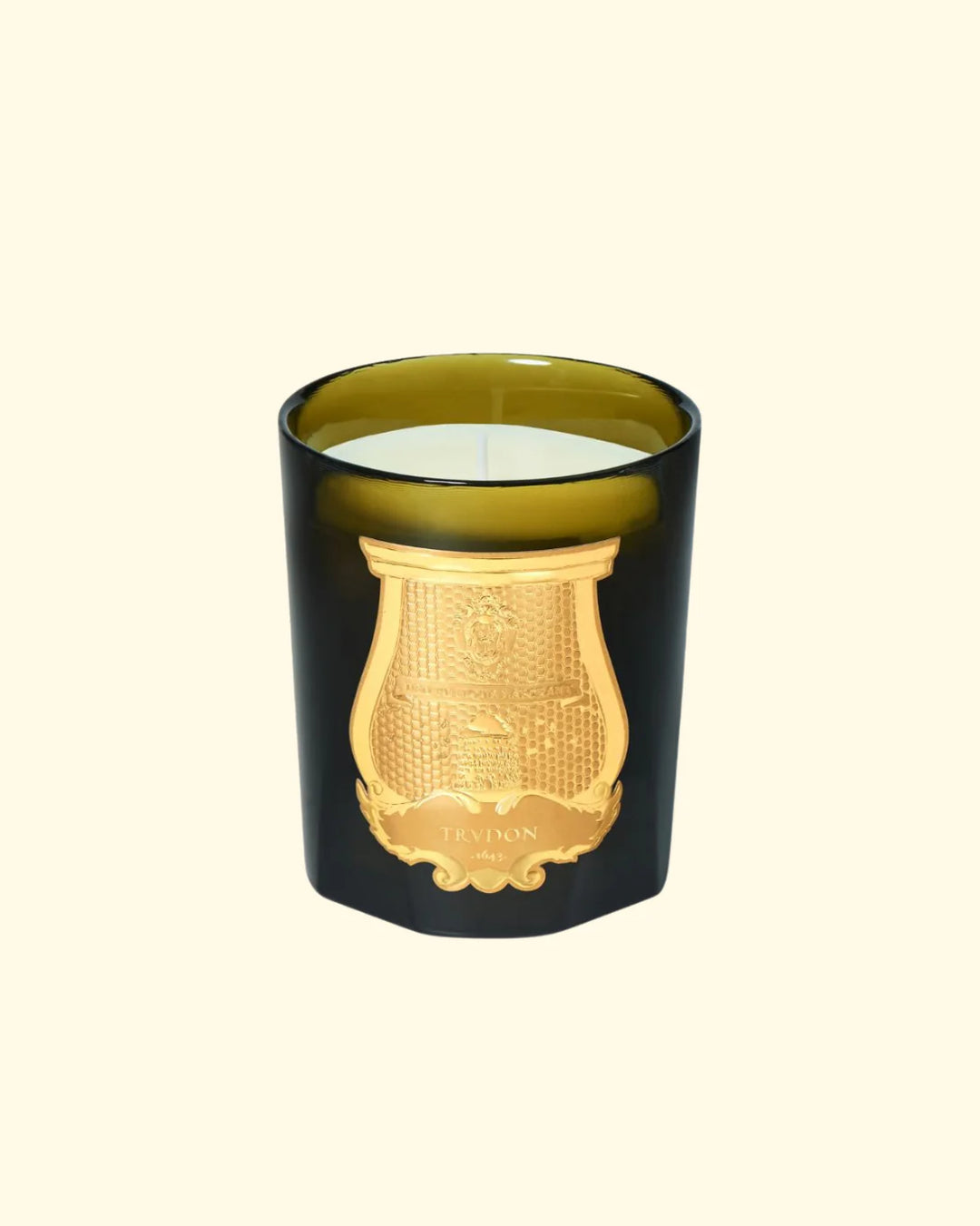 Scented Candle Gabriel | 270G