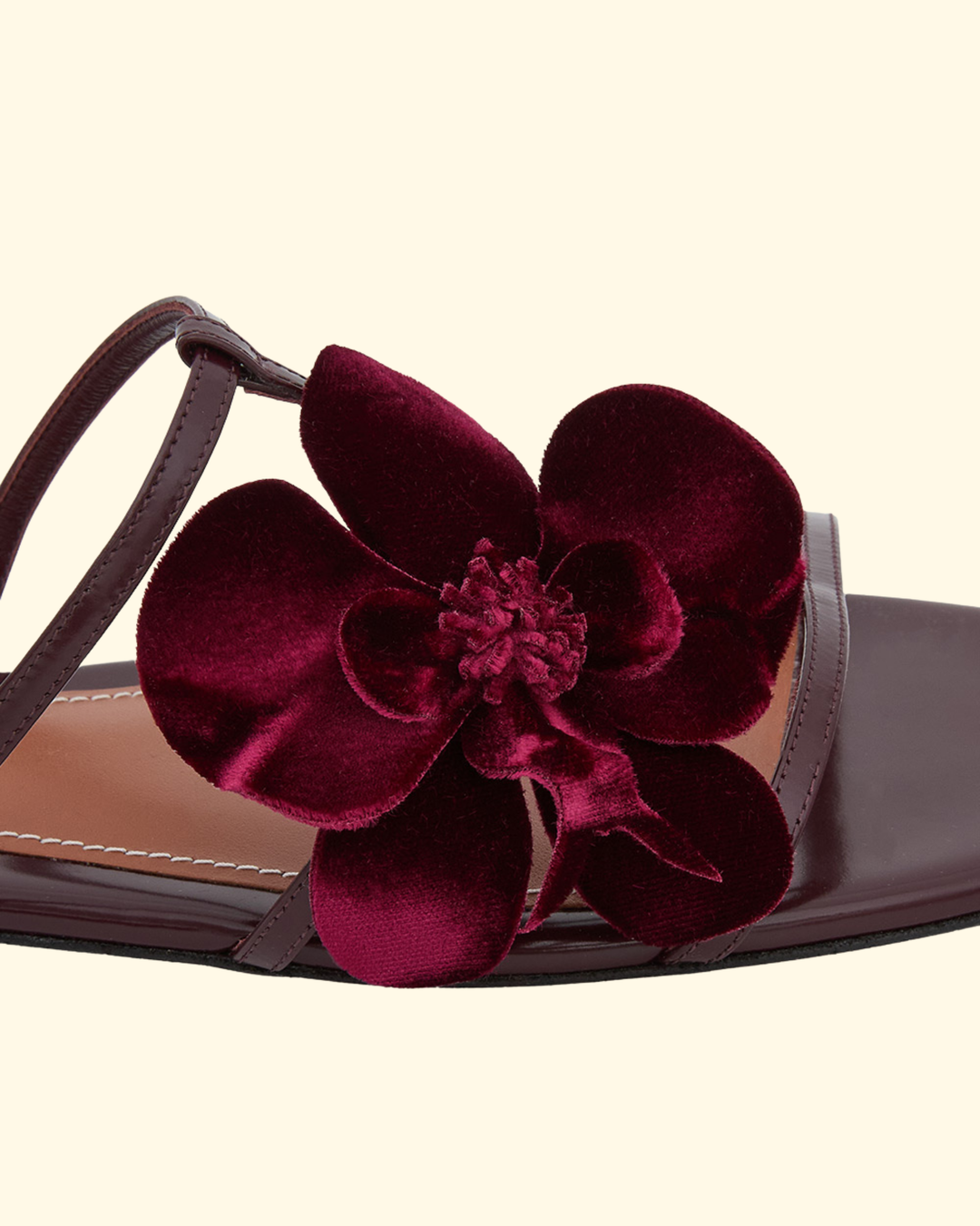 Orchid Slide | Ruby