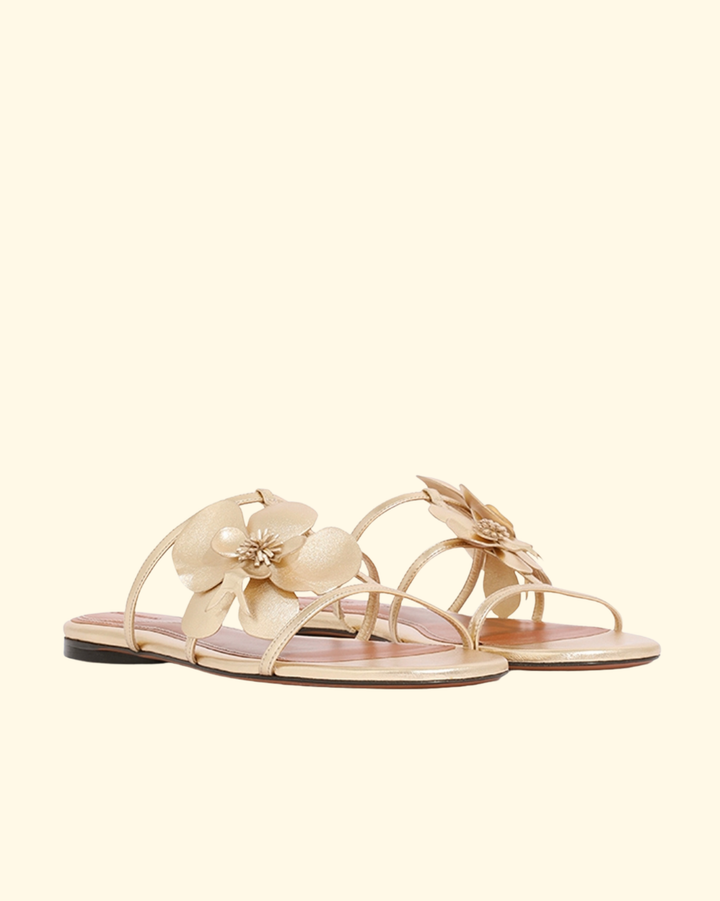 Orchid Slide | Gold