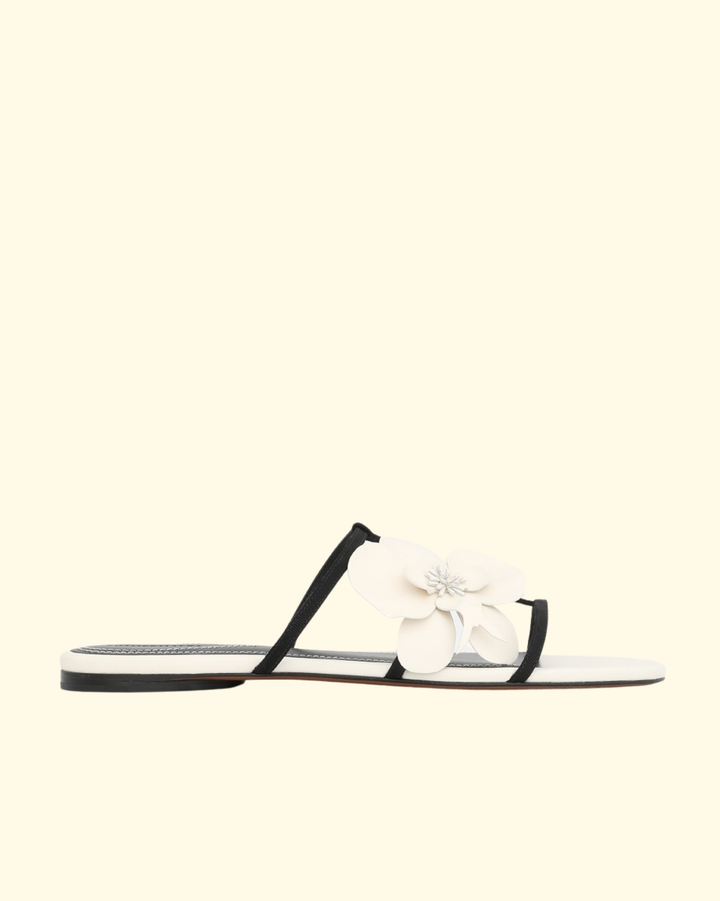 Orchid Slide | Macadamia