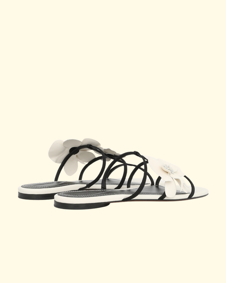 Orchid Slide | Macadamia