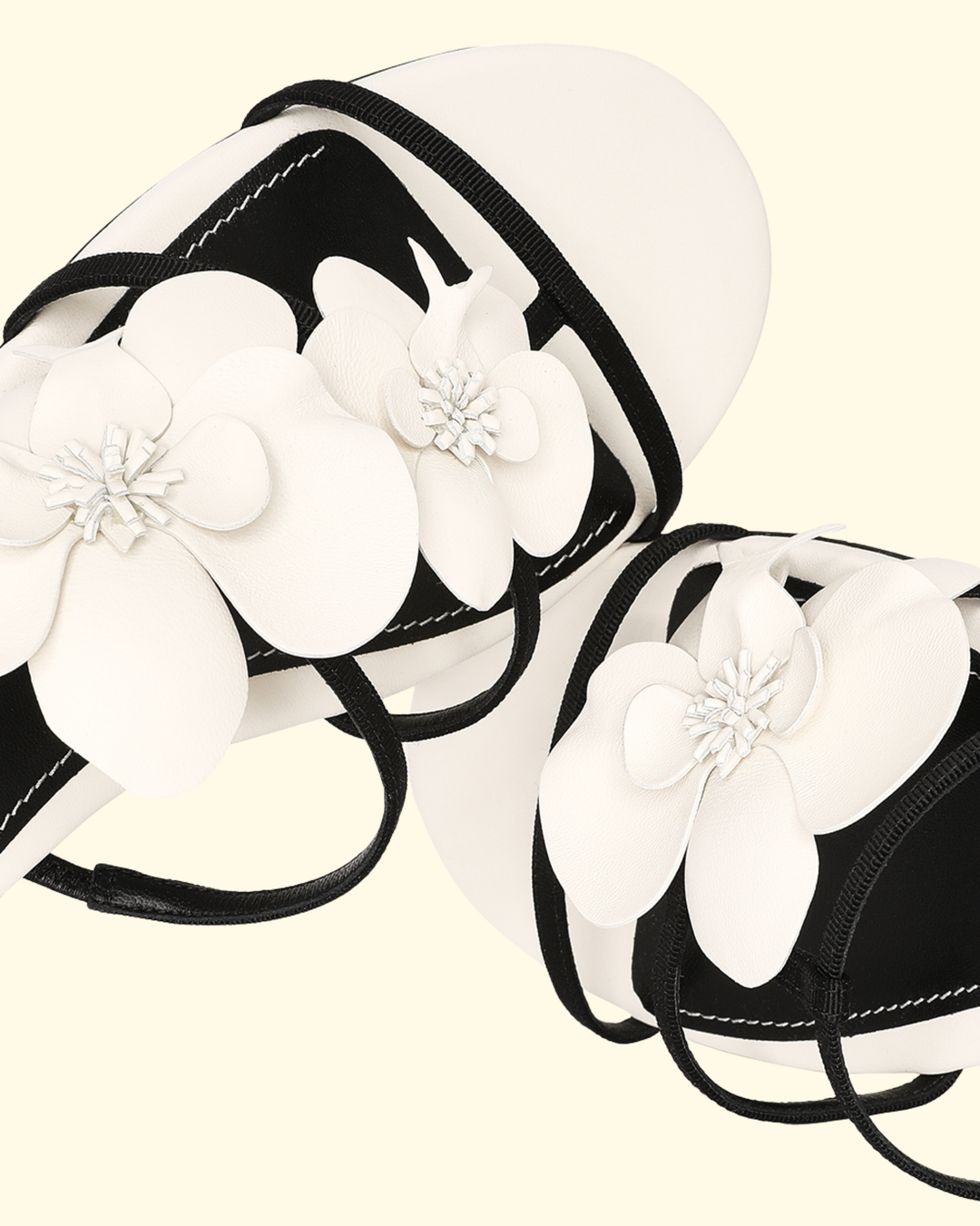 Orchid Slide | Macadamia