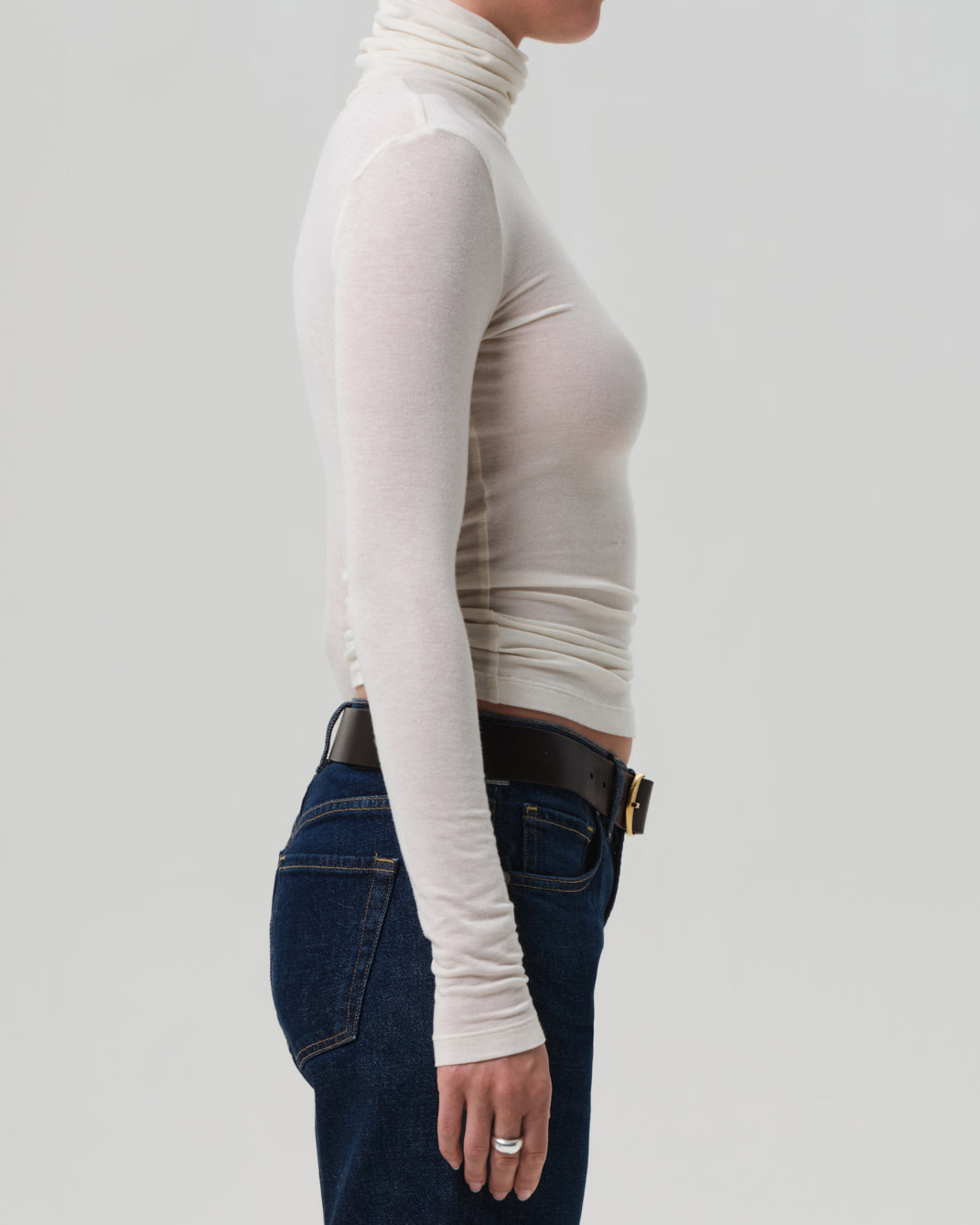 Caradene Turtleneck | Pashmina