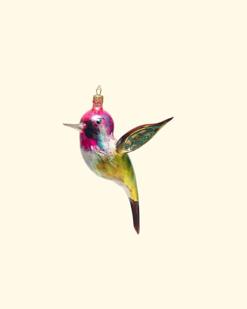 Rainbow Hummingbird | 94W