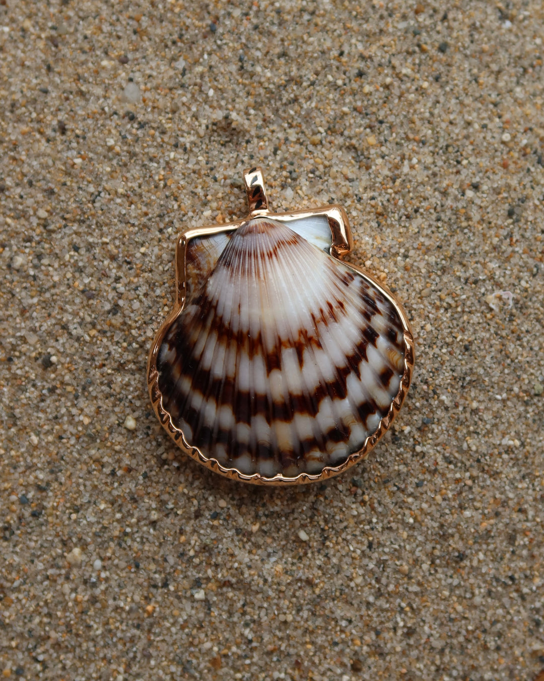 Natural Clam With Rose Gold Charm Sz XXL