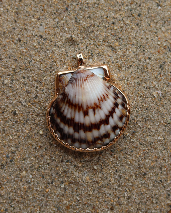 Natural Clam With Rose Gold Charm Sz XXL
