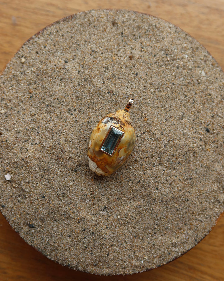 Fossilized Shell Aquamarine
