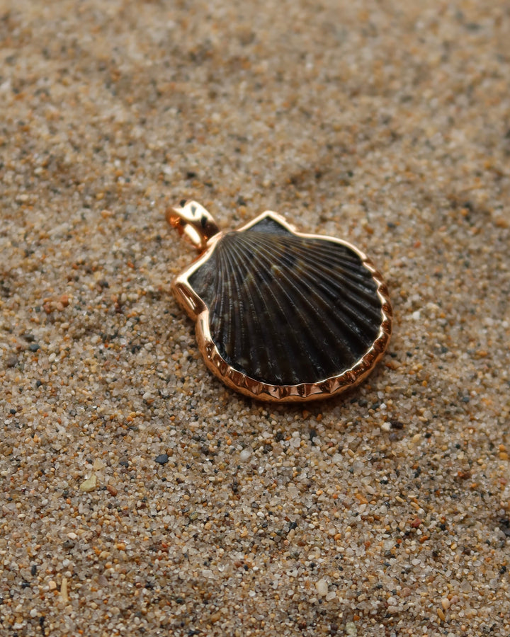 Natural Clam With Rose Gold Charm Sz M