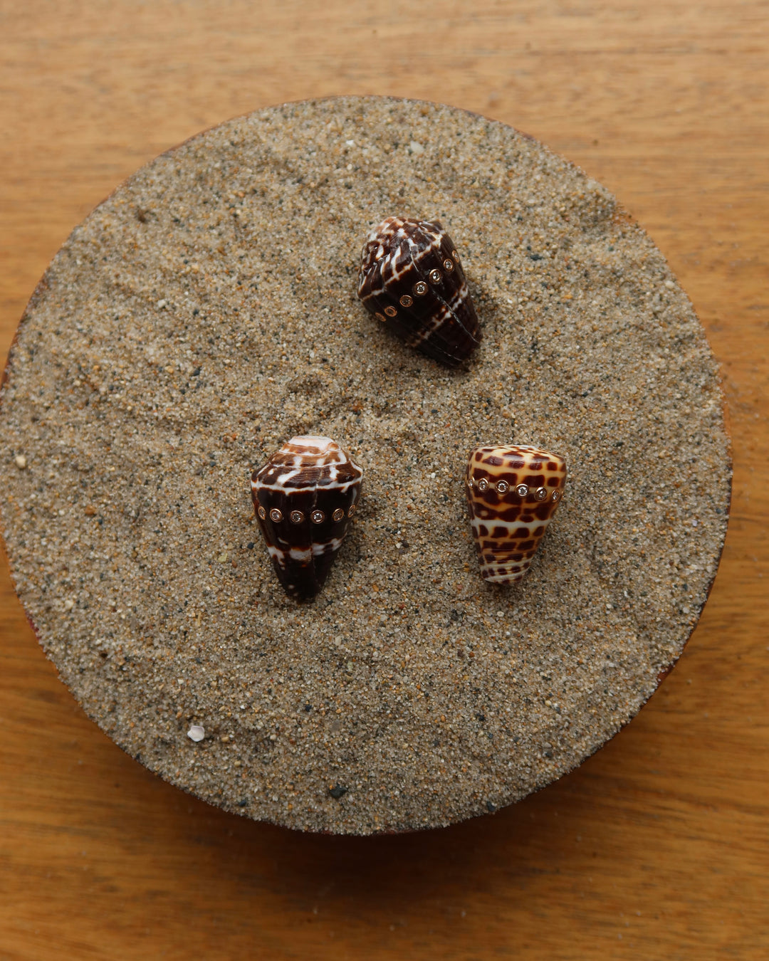 Conus Shell With Brilliant Diamonds