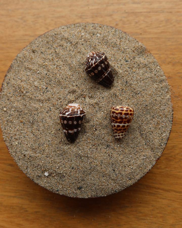 Conus Shell With Brilliant Diamonds