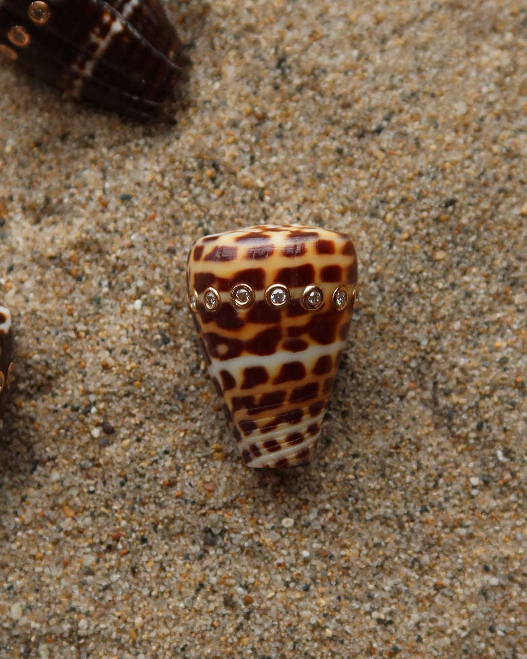 Conus Shell With Brilliant Diamonds