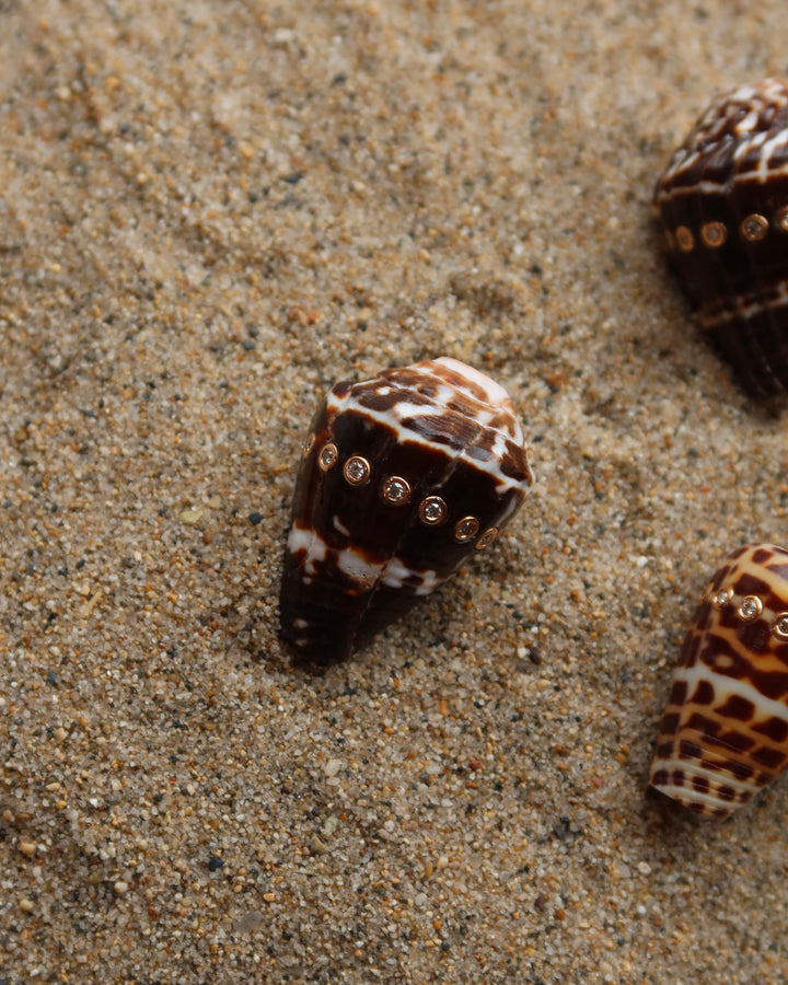 Conus Shell With Brilliant Diamonds