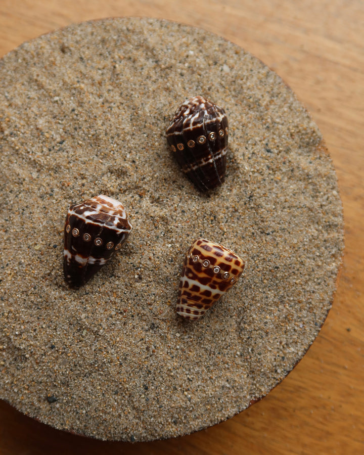 Conus Shell With Brilliant Diamonds