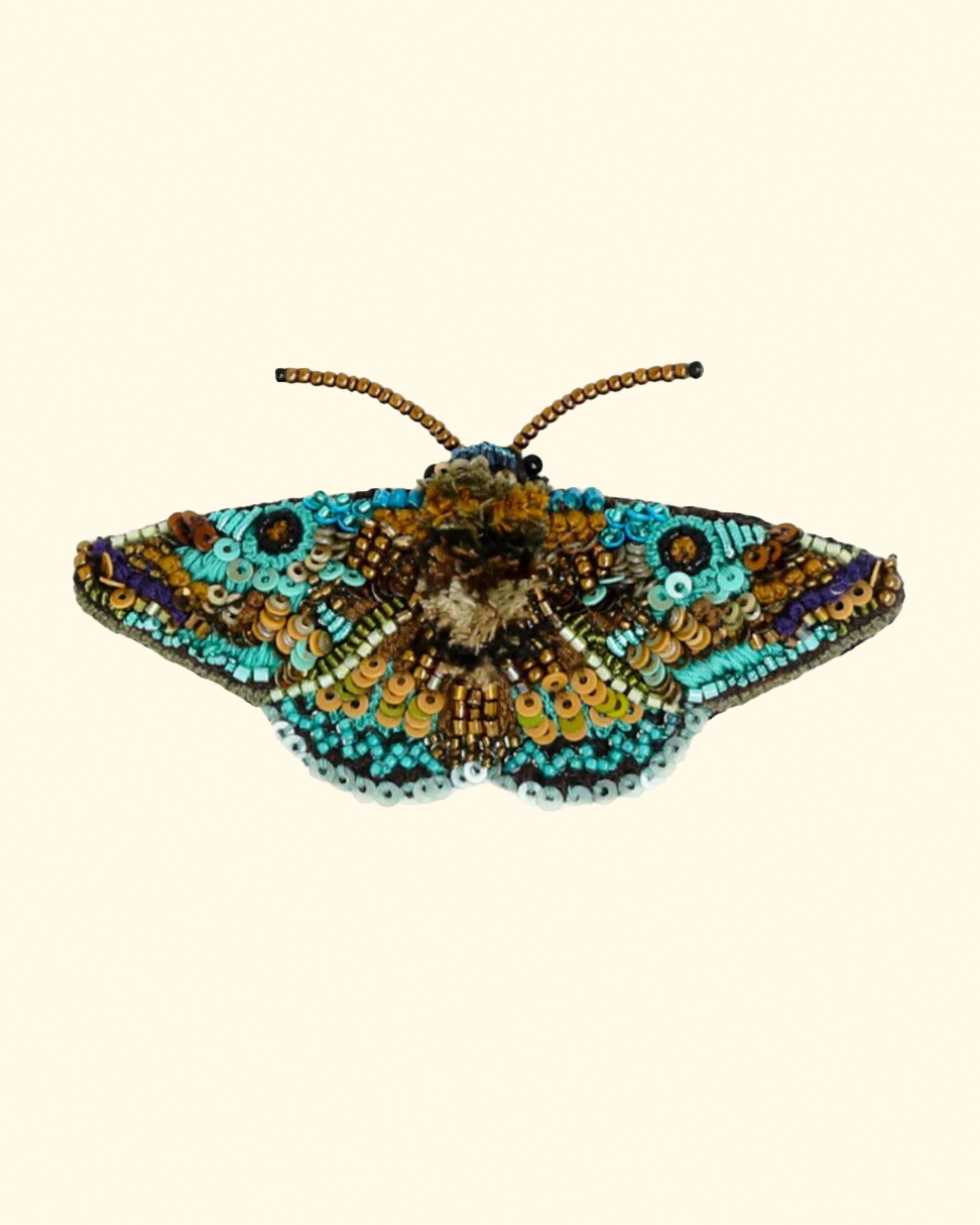 Lanipes Moth Brooch