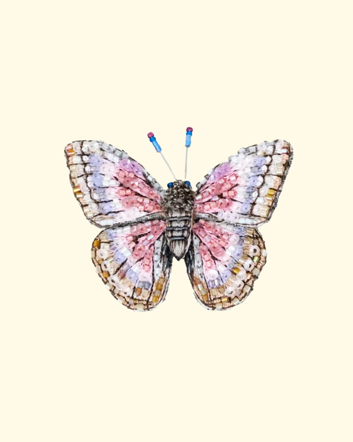 Morpho Godarti Butterfly