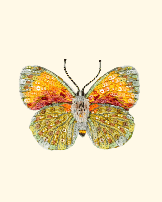 Provencal Hairstreak Butterfly Brooch