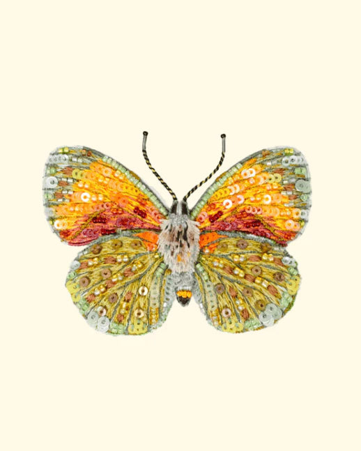 Provencal Hairstreak Butterfly Brooch Pin