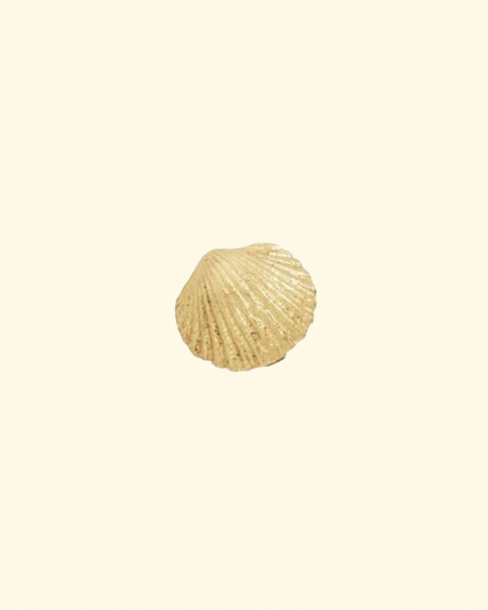 Tiny Seashell Stud | 14k Yellow Gold
