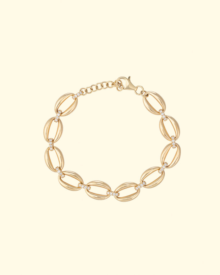 Shell Link Bracelet | 14k Yellow Gold