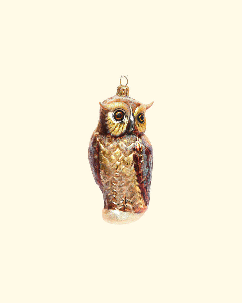 Big Brown Owl | 79W