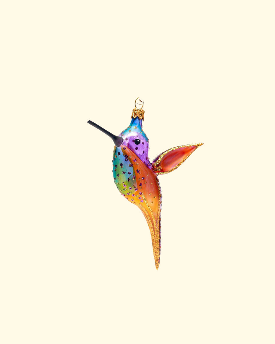 Multicolor Hummingbird | 89W