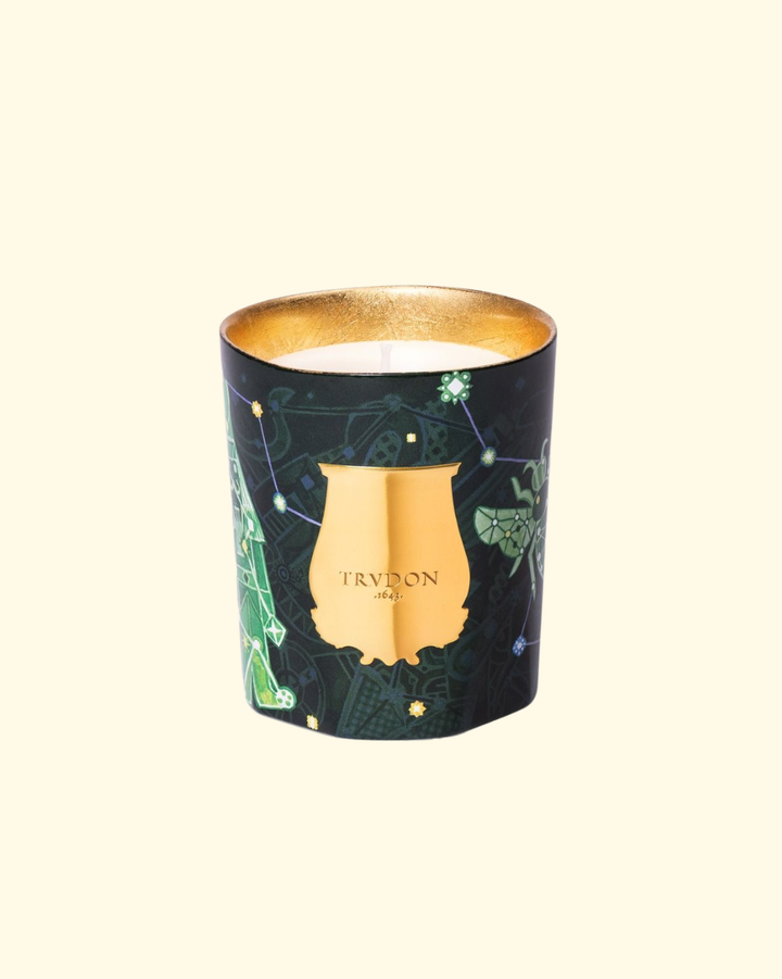Scented Candle Enchanted Night Fir | 270G