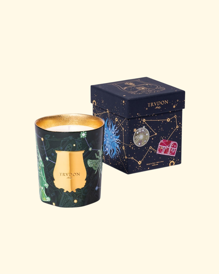 Scented Candle Enchanted Night Fir | 270G