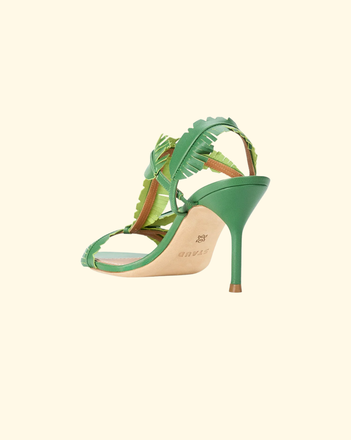 Palm Heel | Leaf