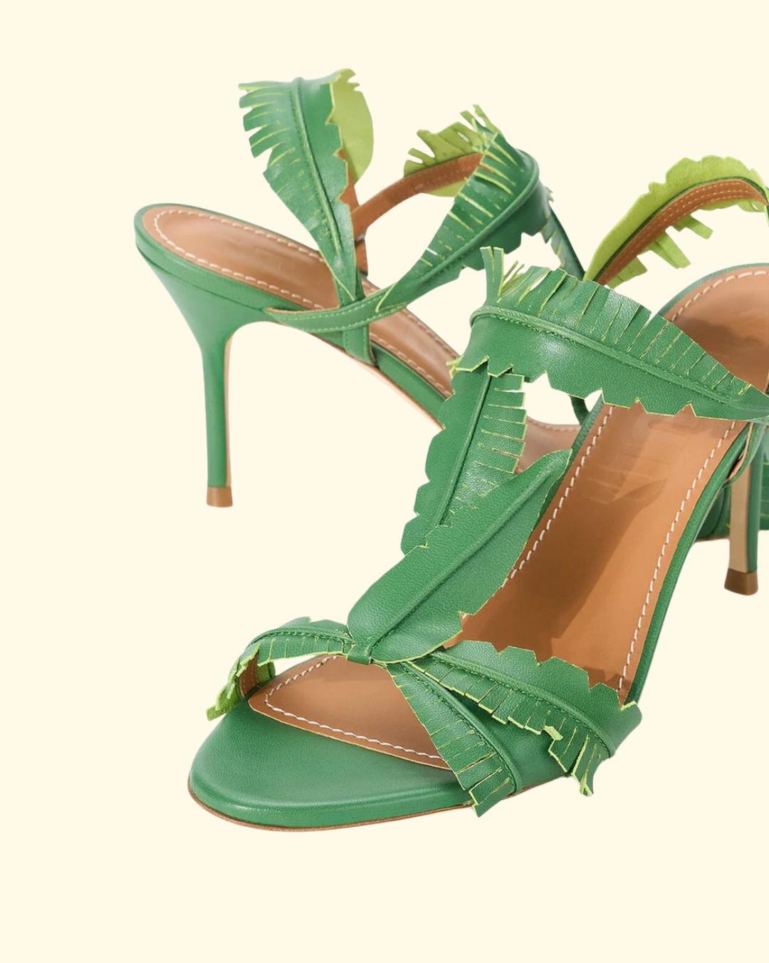 Palm Heel | Leaf