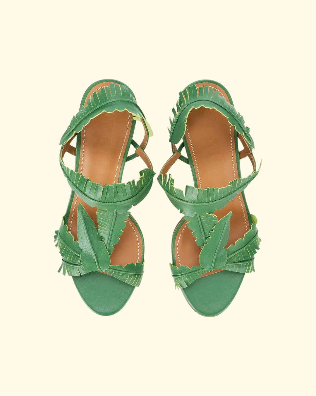 Palm Heel | Leaf