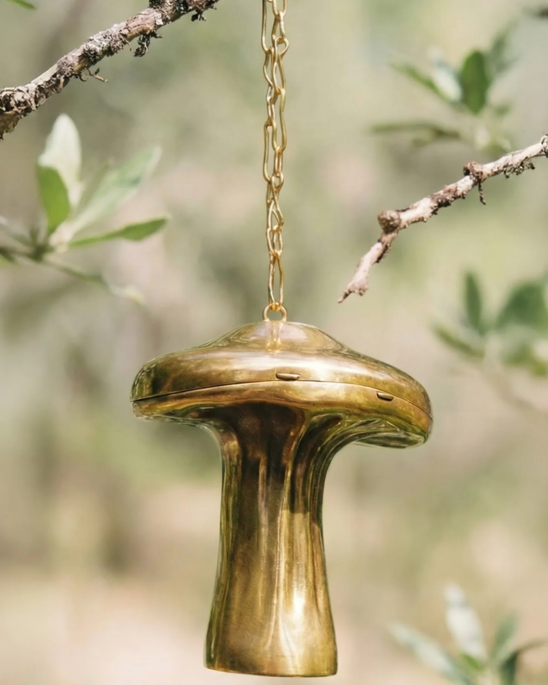 Fungo Clutch | Brass