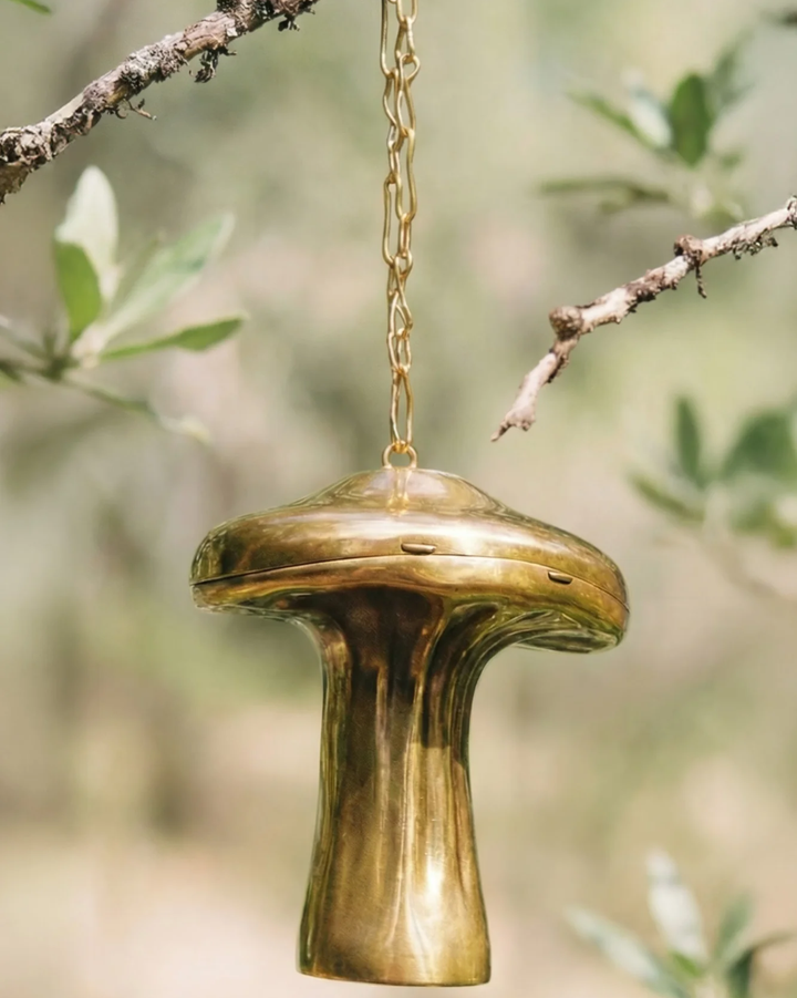 Fungo Clutch | Brass