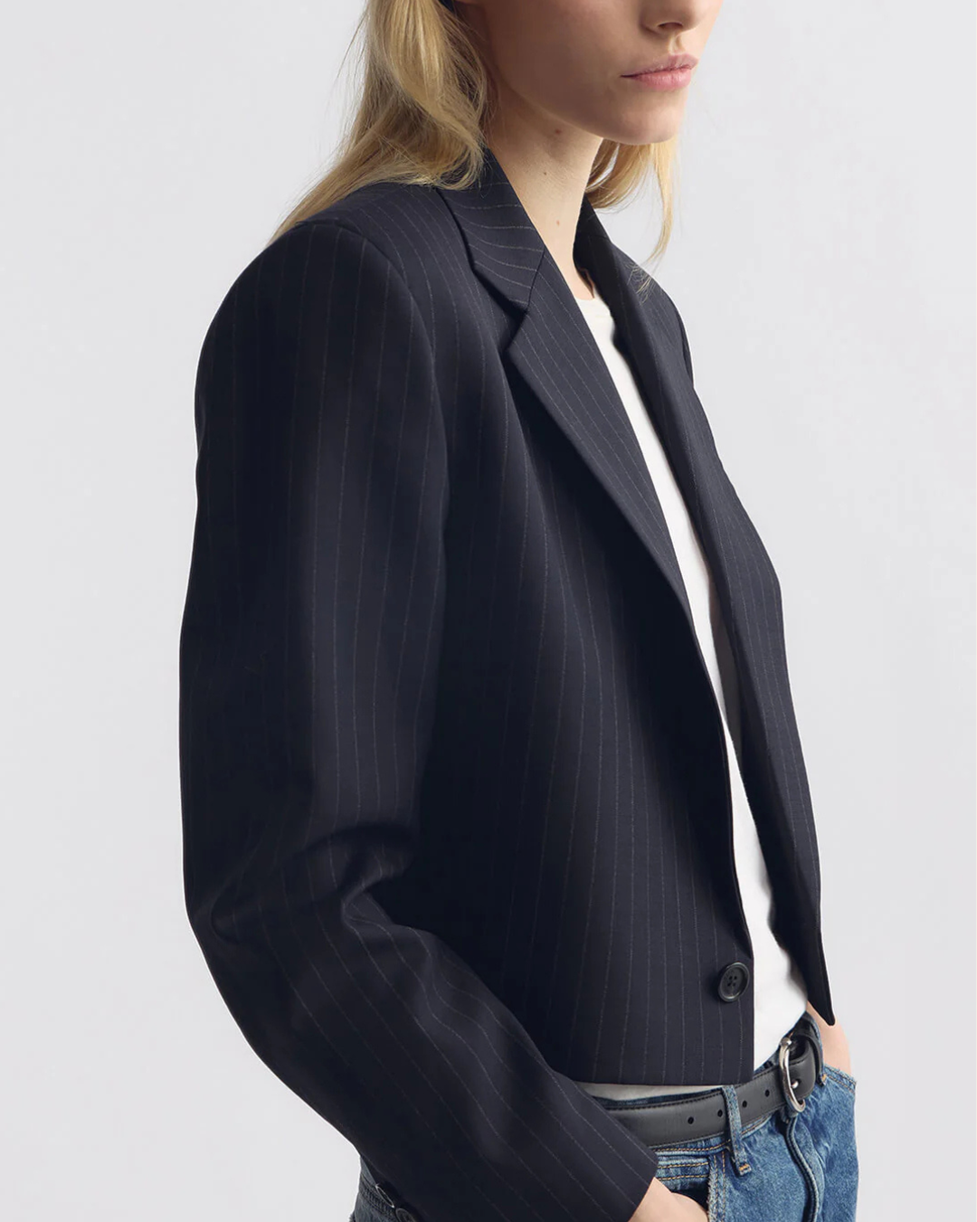 Swan Jacket | Midnight Pinstripes