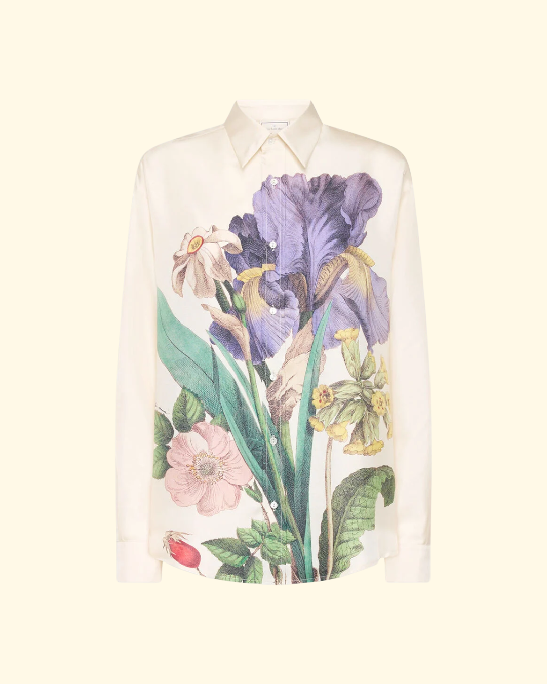 Aloe Long Sleeve Shirt | Iris Su Lino