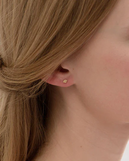 Tiny Seashell Stud | 14k Yellow Gold