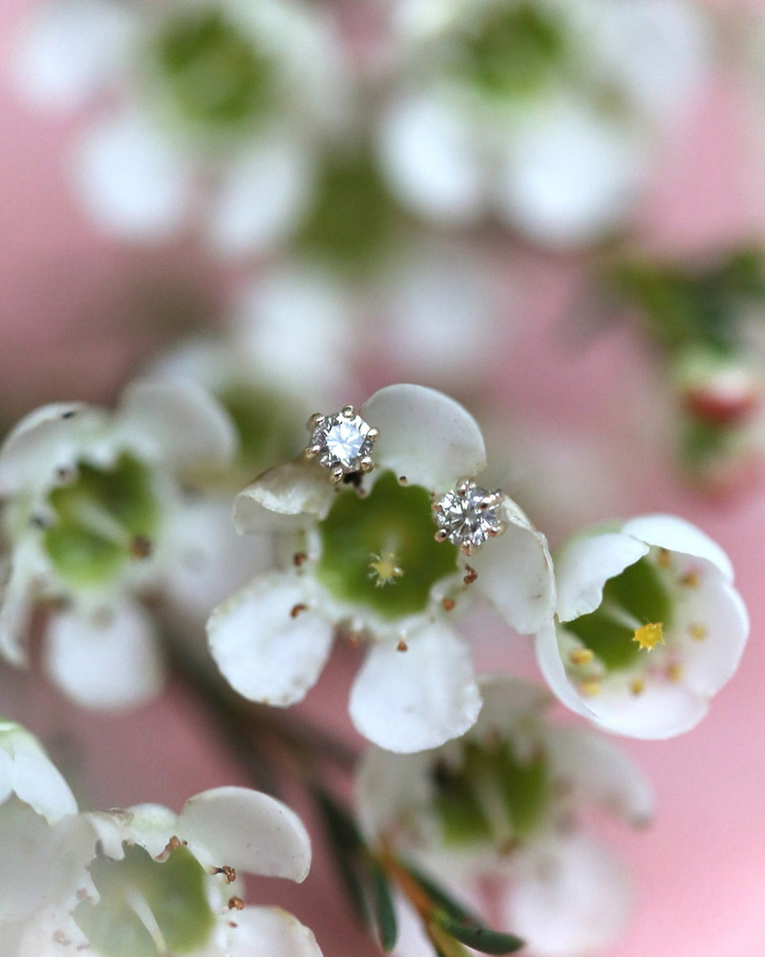 Pam Earrings | 14k Yellow Gold