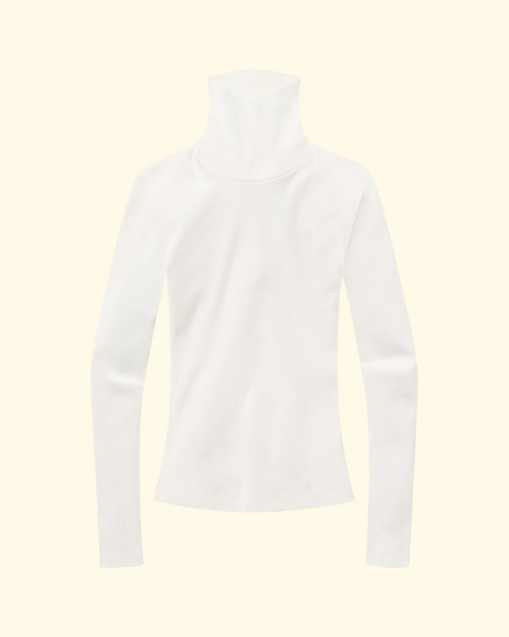 Caradene Turtleneck | Pashmina