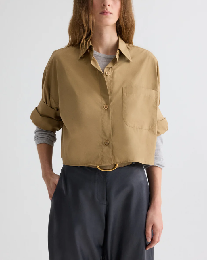 Next Ex | Petrified Oak