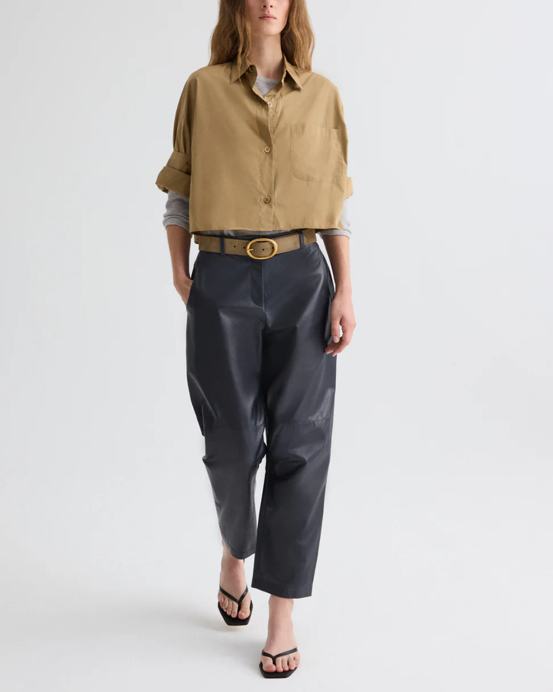 Next Ex | Petrified Oak