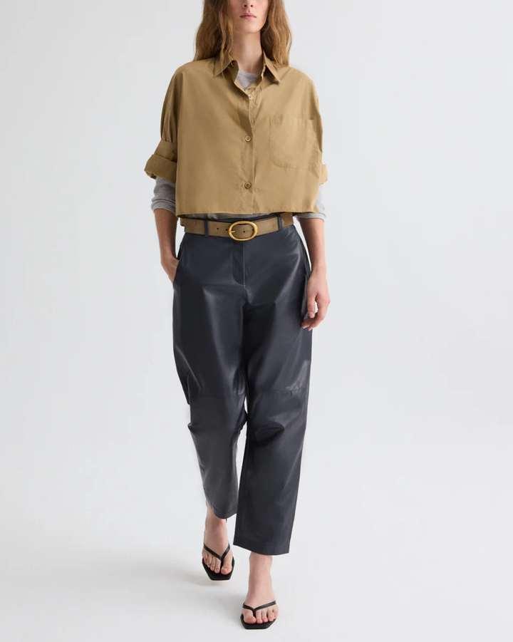 Next Ex | Petrified Oak