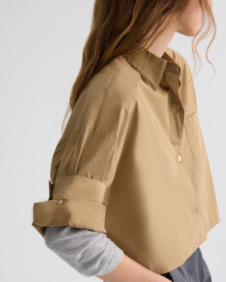 Next Ex | Petrified Oak