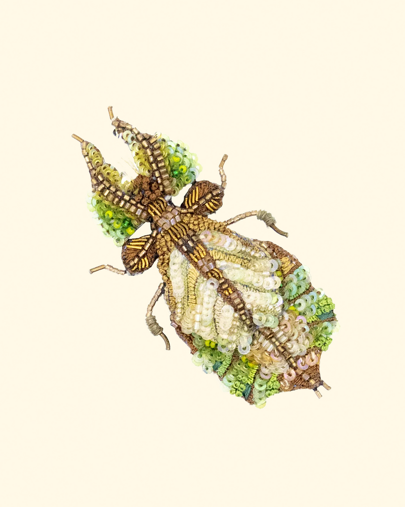 Giant Leaf Insect Brooch Pin